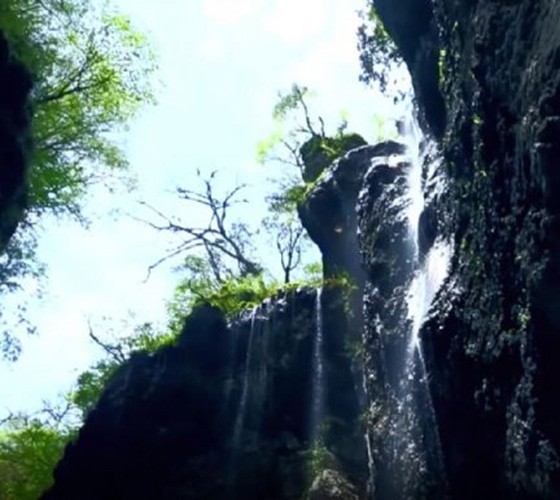 青山綠水，白龍江畔江畔息白鷺，兩岸綠橄欖入眼的都是純樸自然枝上花開(kāi)，春來(lái)水暖魚(yú)蝦戲水，鳥(niǎo)語(yǔ)花香心中充滿(mǎn)著舒暢之感祥宇生態(tài)產(chǎn)業(yè)園，位于隴南市武..